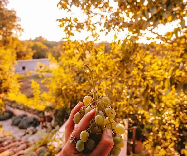 La Bella Βίλα Baderna