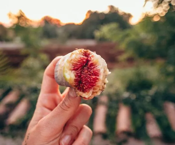 La Bella Βίλα Baderna