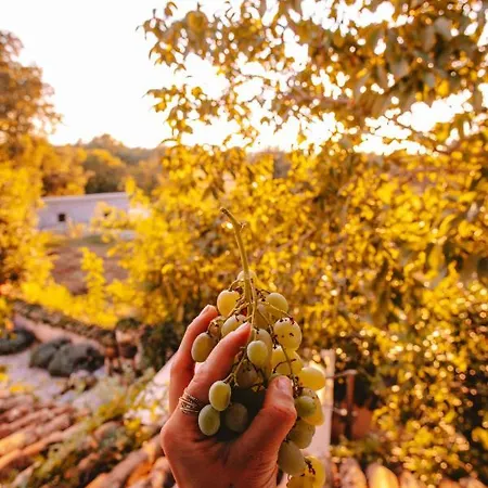 La Bella Villa Baderna