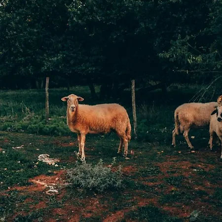 Vila La Bella *